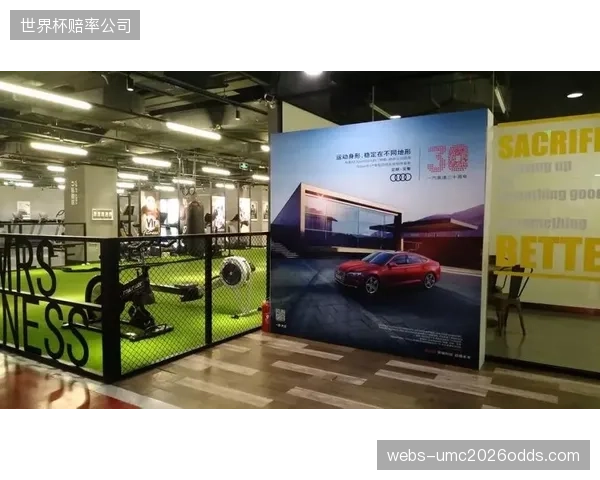 调整期赞助合作方联动场馆方开发定制化品牌曝光场景